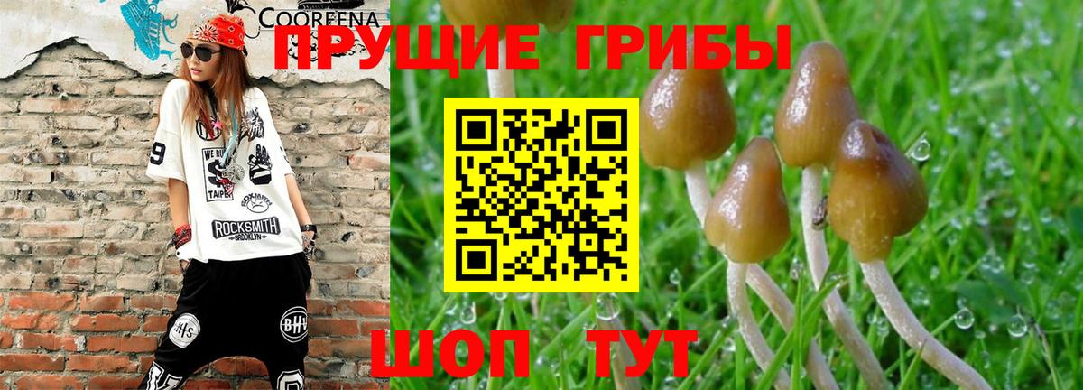 Егорьевск  Галлюциногенные грибы Psilocybe  хочу   Вход с VPN 
