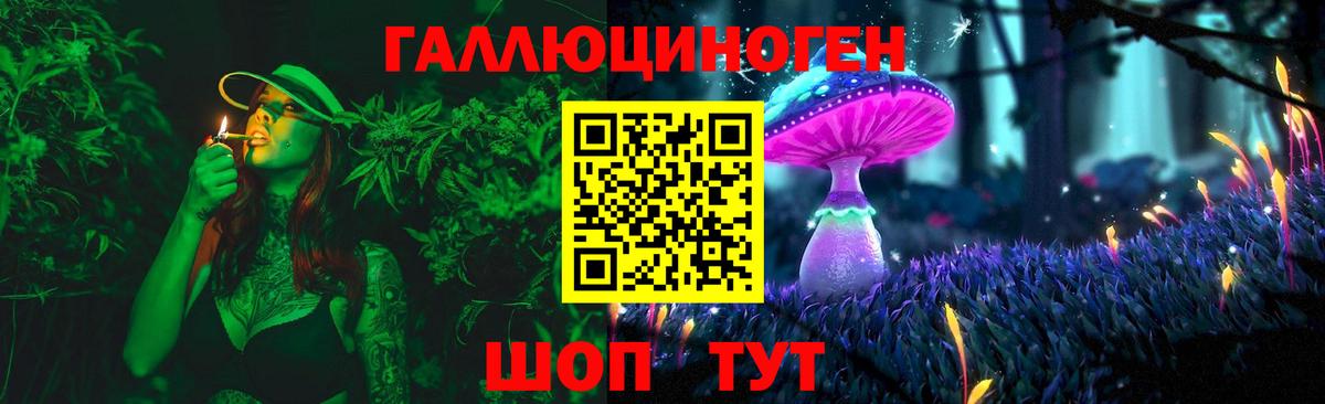 Псилоцибиновые грибы Psilocybine cubensis Егорьевск